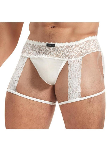 Men's Lace and Mesh Garter Panty — Sissy Lingerie (view 3)