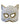 Cat Mask