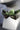 Dandy Leather Bowties &mdash; Bedroom Accessories (view 34)